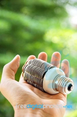 Eco Light Bulb Energy Concept Stock Photo