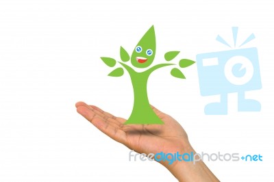 Eco Tree On Hand Stock Photo