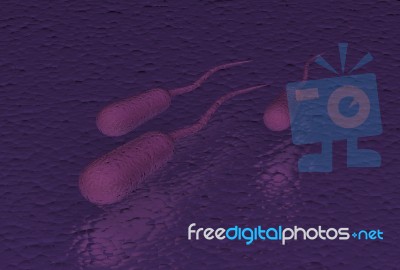 Ecoli Stock Image