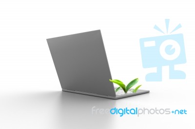 Ecologic Business Stock Image