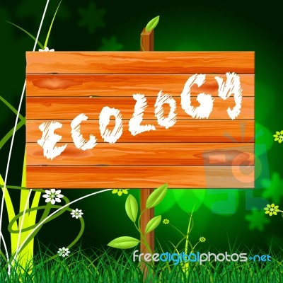 Ecology Eco Indicates Earth Day And Eco-friendly Stock Image