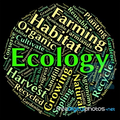 Ecology Word Indicates Protected Protection And Earth Stock Image