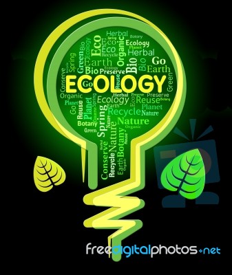 Ecology Words Represents Light Bulb And Earth Stock Image