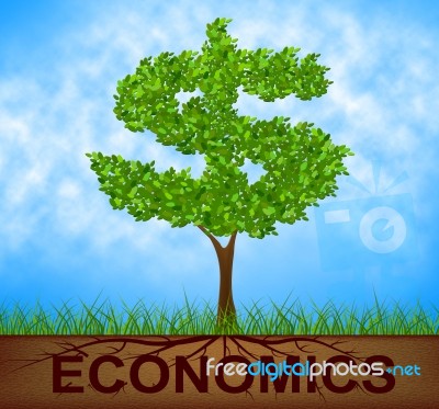 Economics Tree Indicates American Dollars And Branch Stock Image