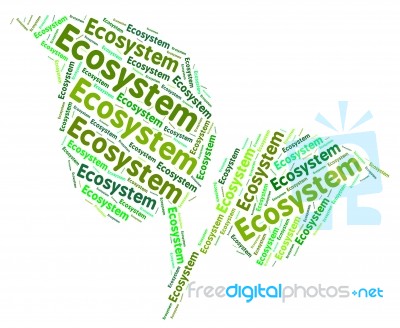 Ecosystem Word Indicates Earth Day And Biosphere Stock Image