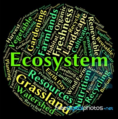 Ecosystem Word Shows Eco Biosystem And Ecology Stock Image