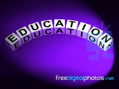 Education Dice Represent Training And Learning To Educate Stock Image