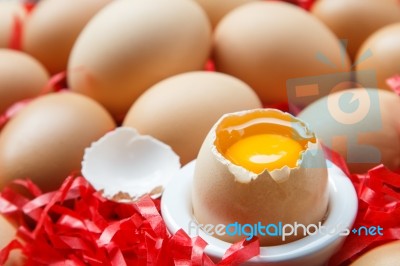 Egg Stock Photo