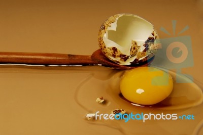 Egg Stock Photo