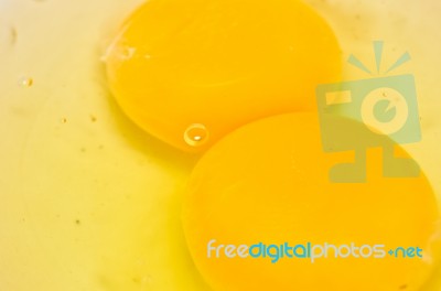 Egg Stock Photo