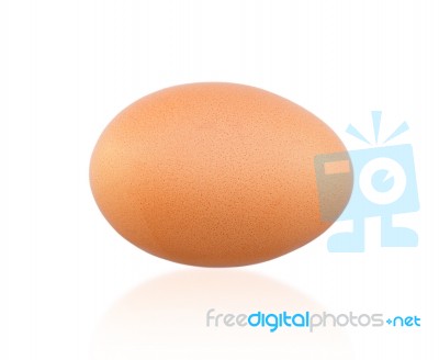 Egg Stock Photo