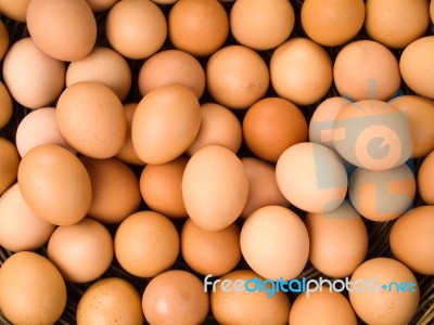 Egg Background Stock Photo