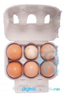 Egg Box, Differ One Stock Photo