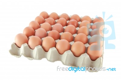 Egg In Carton Stock Photo