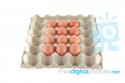 Egg In Carton Stock Photo