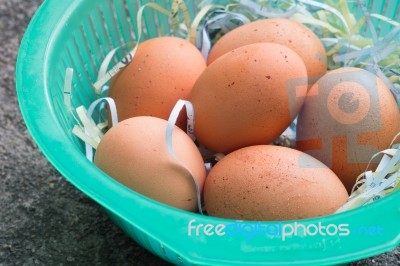 Egg In The Plastic Basket Stock Photo