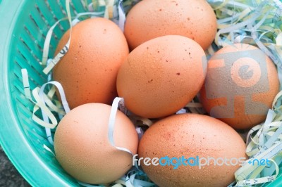 Egg In The Plastic Basket Stock Photo