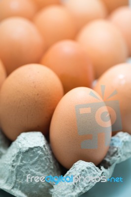 Egg In The Recycled Paper Egg Tray Isolated On White Stock Photo