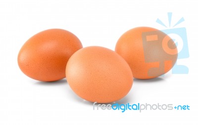 Egg Isolated On The White Background Stock Photo