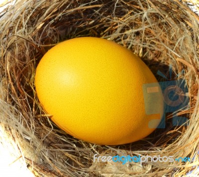 Egg Nest Stock Photo