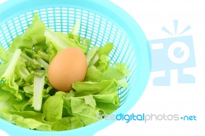 Egg On Vegetable Basket On White Background Stock Photo