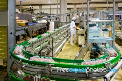 Egg Processing Plant Near Bergamo In Italy Stock Photo