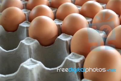 Egg Tray Stock Photo