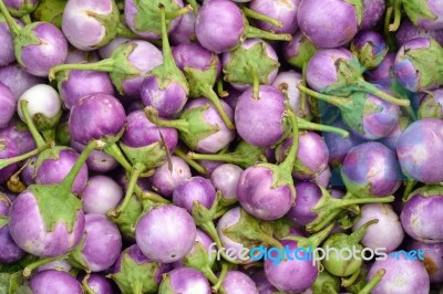 Eggplant Stock Photo