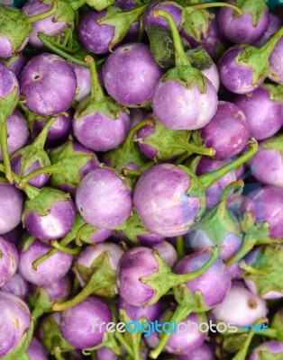 Eggplant Stock Photo