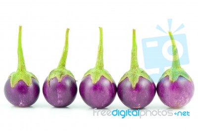 Eggplant Stock Photo