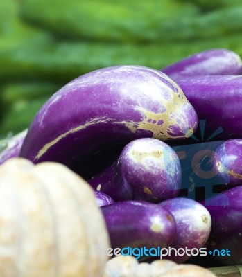 Eggplant And Pumpkin Stock Photo