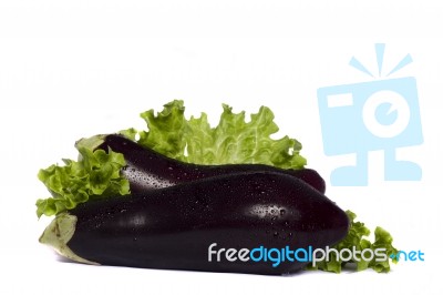 Eggplant On White Background Stock Photo