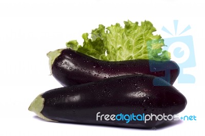 Eggplant On White Background Stock Photo