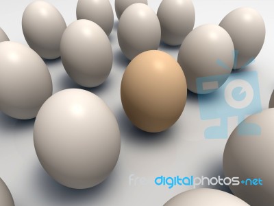 Eggs Stock Image