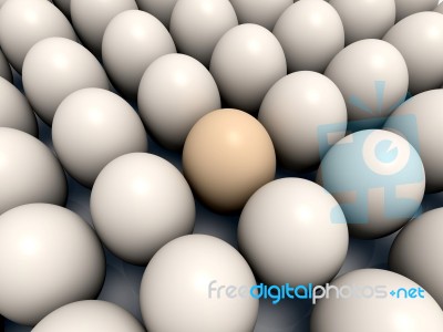 Eggs Stock Image