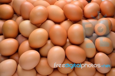 Eggs Stock Photo