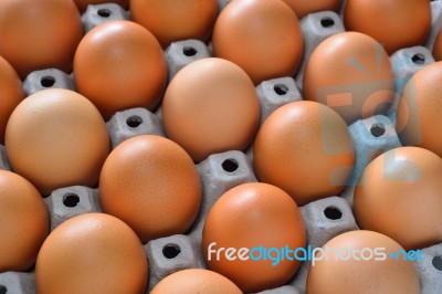 Eggs Stock Photo