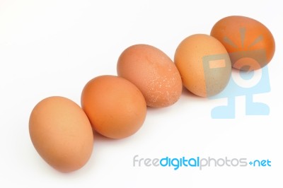 Eggs Stock Photo