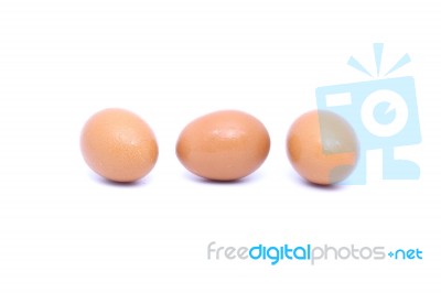 Eggs Stock Photo