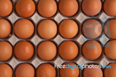 Eggs Stock Photo