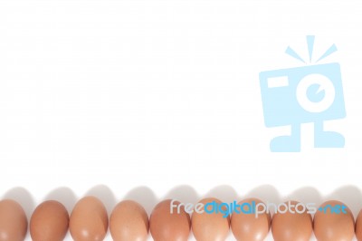 Eggs Aligned Horizontally Stock Photo