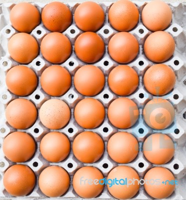 Eggs Carton,eggs In A Box Stock Photo