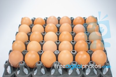 Eggs Chicken For Eat Stock Photo