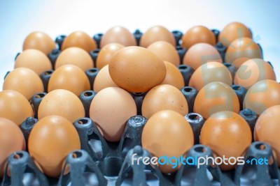 Eggs Chicken For Eat Stock Photo