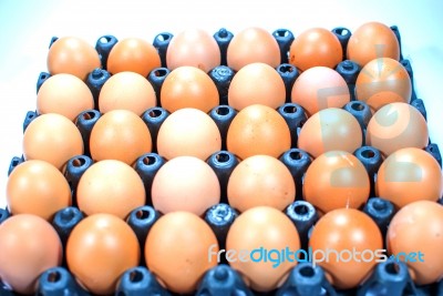 Eggs Chicken For Eat Stock Photo