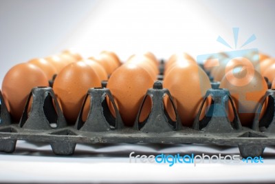 Eggs Chicken For Eat Stock Photo