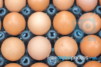 Eggs Chicken For Eat Stock Photo