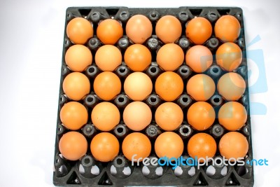 Eggs Chicken For Eat Stock Photo