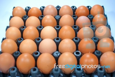 Eggs Chicken For Eat Stock Photo