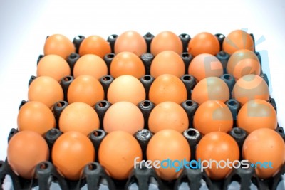 Eggs Chicken For Eat Stock Photo